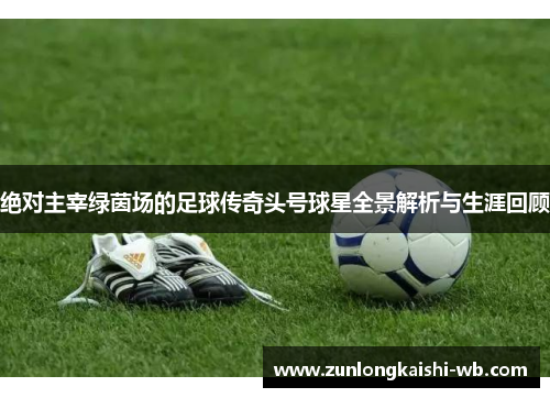 绝对主宰绿茵场的足球传奇头号球星全景解析与生涯回顾